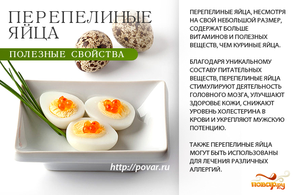 Перепелиные яйца - полезные свойства